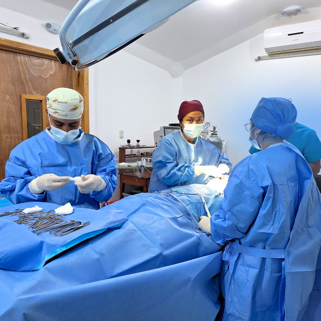 diseño sin título (1)